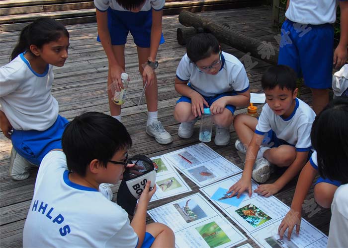 營地教育:讓孩子們在經(jīng)歷中收獲成長 營地教育:讓孩子們在經(jīng)歷中收獲成長